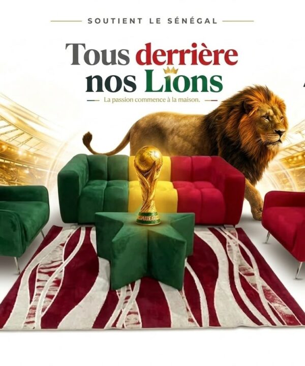 Touba ameublement apporte son soutien aux lions du senegal